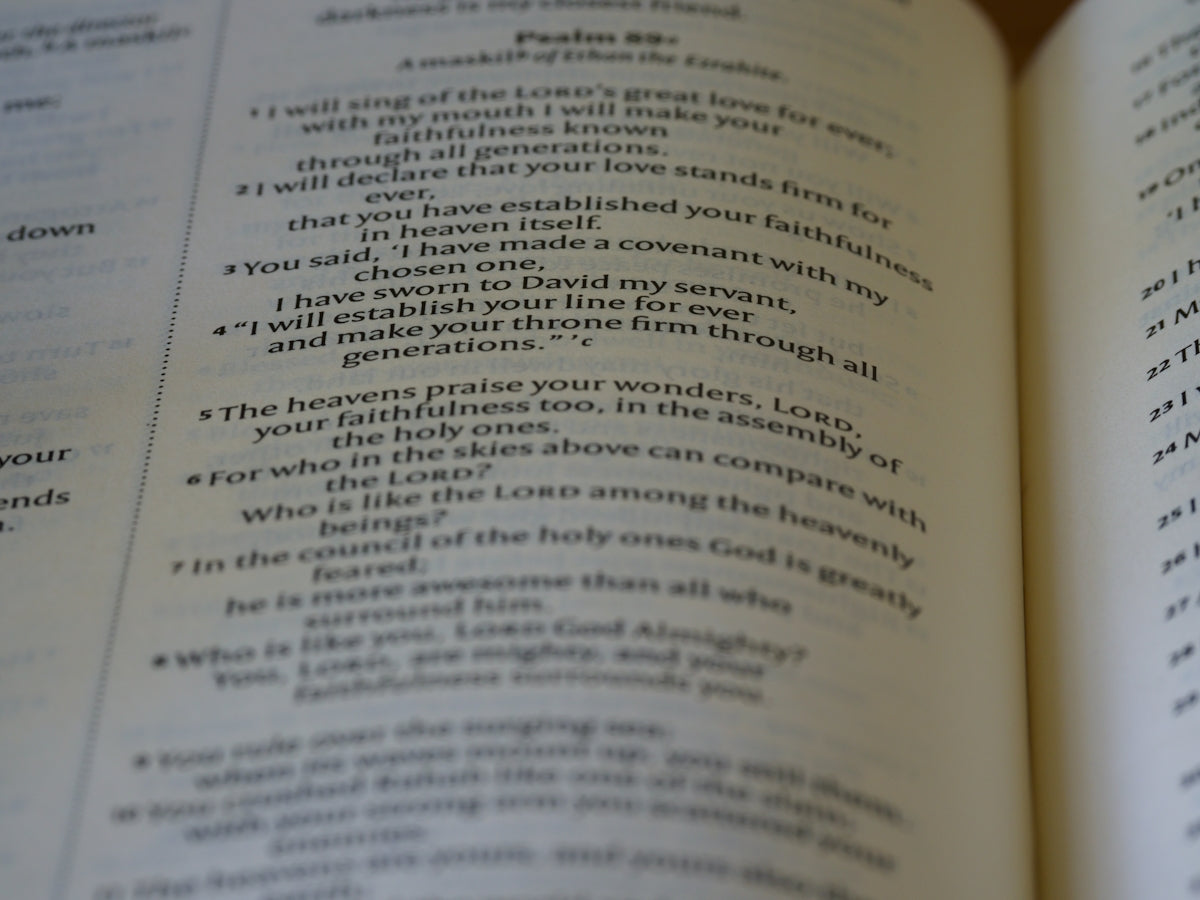 a close up of a book